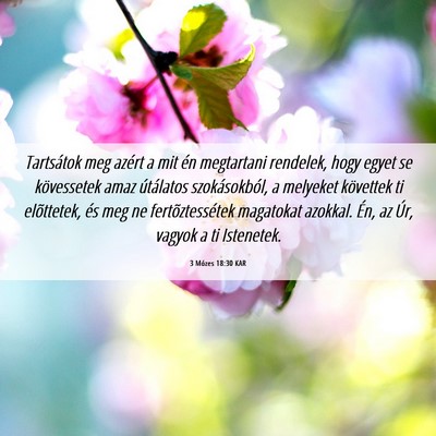 Picture 06 - 3 Mózes 18:30 KAR - Tartsátok meg azért a mit én megtartani - Bible Verse Picture