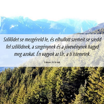 Picture 06 - 3 Mózes 19:10 KAR - Szõlõdet se mezgéreld le, és elhullott - Bible Verse Picture