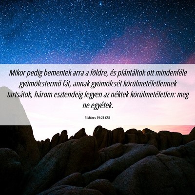Picture 06 - 3 Mózes 19:23 KAR - Mikor pedig bementek arra a földre, és - Bible Verse Picture