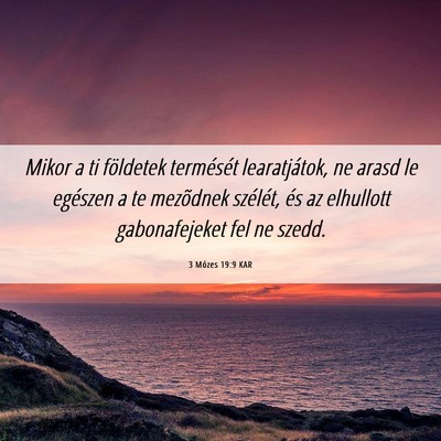 Picture 06 - 3 Mózes 19:9 KAR - Mikor a ti földetek termését learatjátok, ne - Bible Verse Picture