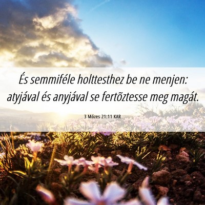 Picture 06 - 3 Mózes 21:11 KAR - És semmiféle holttesthez be ne menjen: - Bible Verse Picture