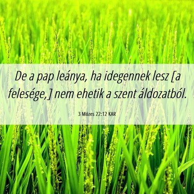 Picture 06 - 3 Mózes 22:12 KAR - De a pap leánya, ha idegennek lesz [a - Bible Verse Picture