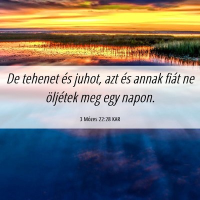 Picture 06 - 3 Mózes 22:28 KAR - De tehenet és juhot, azt és annak fiát ne - Bible Verse Picture