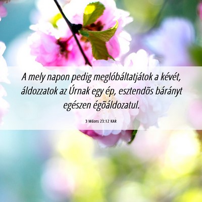 Picture 06 - 3 Mózes 23:12 KAR - A mely napon pedig meglóbáltatjátok a kévét, - Bible Verse Picture