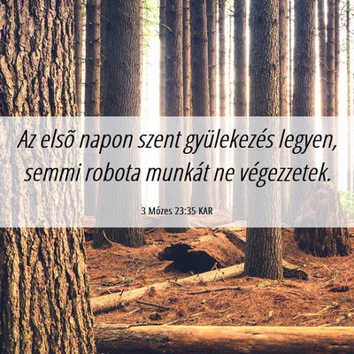 Picture 06 - 3 Mózes 23:35 KAR - Az elsõ napon szent gyülekezés legyen, semmi - Bible Verse Picture