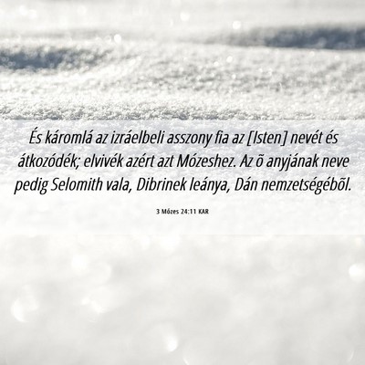 Picture 06 - 3 Mózes 24:11 KAR - És káromlá az izráelbeli asszony fia az - Bible Verse Picture