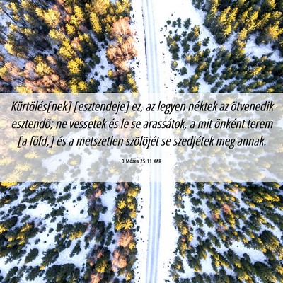 Picture 06 - 3 Mózes 25:11 KAR - Kürtölés[nek] [esztendeje] ez, az legyen - Bible Verse Picture