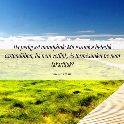 Picture 06 - 3 Mózes 25:20 KAR - Ha pedig azt mondjátok: Mit eszünk a hetedik - Bible Verse Picture