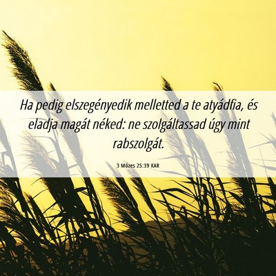 Picture 06 - 3 Mózes 25:39 KAR - Ha pedig elszegényedik melletted a te atyádfia, - Bible Verse Picture