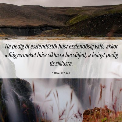 Picture 06 - 3 Mózes 27:5 KAR - Ha pedig öt esztendõstõl húsz esztendõsig - Bible Verse Picture