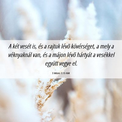 Picture 06 - 3 Mózes 3:15 KAR - A két vesét is, és a rajtuk lévõ - Bible Verse Picture