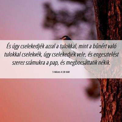 Picture 06 - 3 Mózes 4:20 KAR - És úgy cselekedjék azzal a tulokkal, mint a - Bible Verse Picture