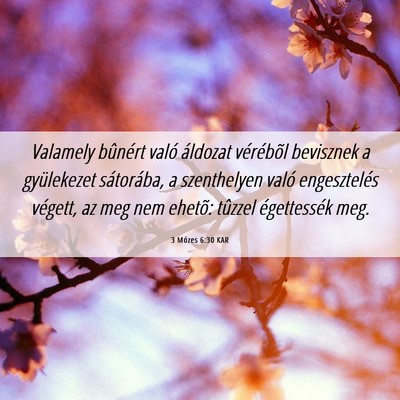 Picture 06 - 3 Mózes 6:30 KAR - Valamely bûnért való áldozat vérébõl - Bible Verse Picture