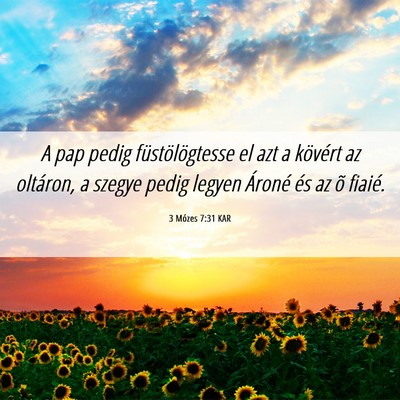 Picture 06 - 3 Mózes 7:31 KAR - A pap pedig füstölögtesse el azt a kövért az - Bible Verse Picture