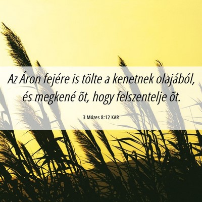 Picture 06 - 3 Mózes 8:12 KAR - Az Áron fejére is tölte a kenetnek olajából, - Bible Verse Picture