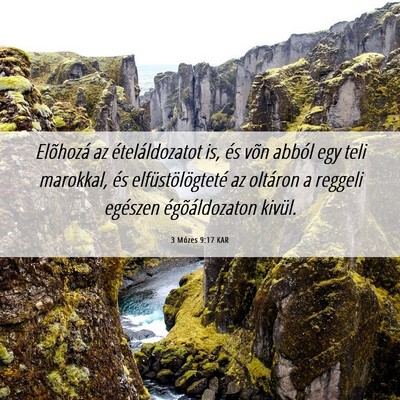 Picture 06 - 3 Mózes 9:17 KAR - Elõhozá az ételáldozatot is, és võn abból - Bible Verse Picture