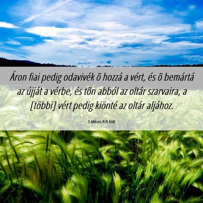 Picture 06 - 3 Mózes 9:9 KAR - Áron fiai pedig odavivék õ hozzá a vért, és - Bible Verse Picture
