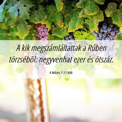 Picture 06 - 4 Mózes 1:21 KAR - A kik megszámláltattak a Rúben törzsébõl: - Bible Verse Picture