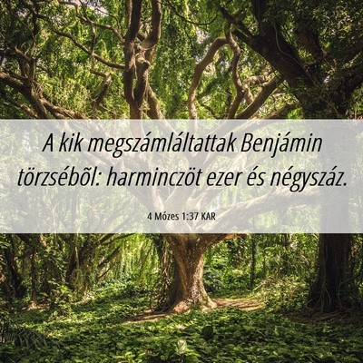 Picture 06 - 4 Mózes 1:37 KAR - A kik megszámláltattak Benjámin törzsébõl: - Bible Verse Picture
