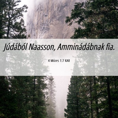 Picture 06 - 4 Mózes 1:7 KAR - Júdából Naasson, Amminádábnak - Bible Verse Picture