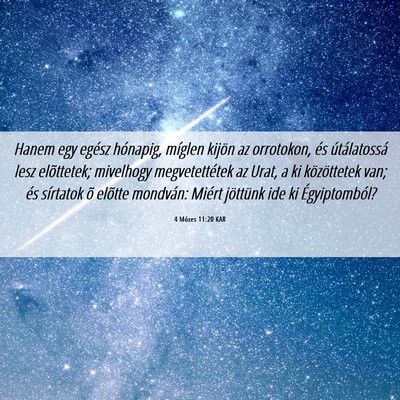 Picture 06 - 4 Mózes 11:20 KAR - Hanem egy egész hónapig, míglen kijön az - Bible Verse Picture