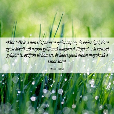 Picture 06 - 4 Mózes 11:32 KAR - Akkor felkele a nép [és] azon az egész napon, - Bible Verse Picture