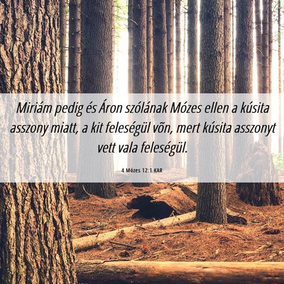 Picture 06 - 4 Mózes 12:1 KAR - Miriám pedig és Áron szólának Mózes ellen a - Bible Verse Picture