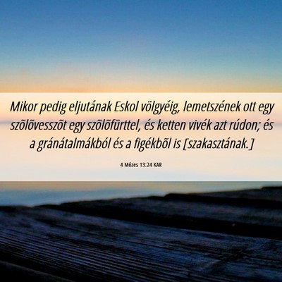 Picture 06 - 4 Mózes 13:24 KAR - Mikor pedig eljutának Eskol völgyéig, - Bible Verse Picture