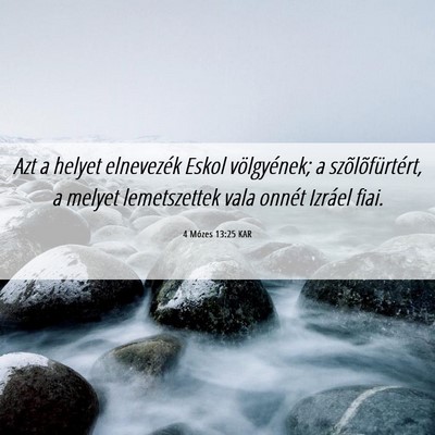 Picture 06 - 4 Mózes 13:25 KAR - Azt a helyet elnevezék Eskol völgyének; a - Bible Verse Picture