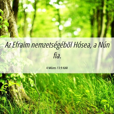 Picture 06 - 4 Mózes 13:9 KAR - Az Efraim nemzetségébõl Hósea, a Nún - Bible Verse Picture