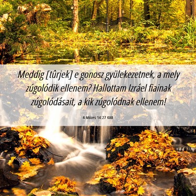 Picture 06 - 4 Mózes 14:27 KAR - Meddig [tûrjek] e gonosz gyülekezetnek, a mely - Bible Verse Picture