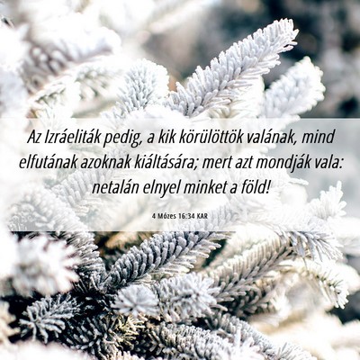 Picture 06 - 4 Mózes 16:34 KAR - Az Izráeliták pedig, a kik körülöttök - Bible Verse Picture