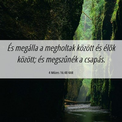 Picture 06 - 4 Mózes 16:48 KAR - És megálla a megholtak között és élõk - Bible Verse Picture