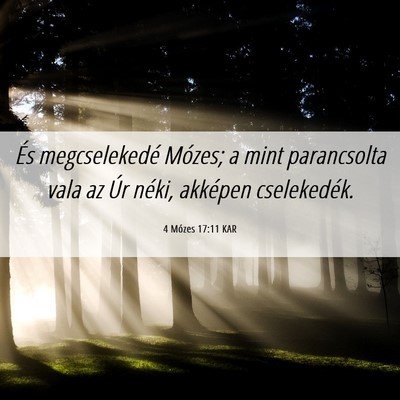Picture 06 - 4 Mózes 17:11 KAR - És megcselekedé Mózes; a mint parancsolta vala - Bible Verse Picture
