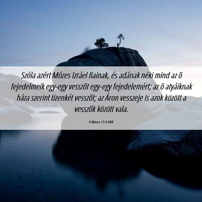 Picture 06 - 4 Mózes 17:6 KAR - Szóla azért Mózes Izráel fiainak, és adának - Bible Verse Picture