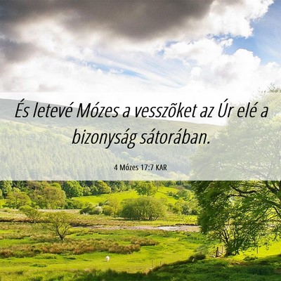 Picture 06 - 4 Mózes 17:7 KAR - És letevé Mózes a vesszõket az Úr elé a - Bible Verse Picture