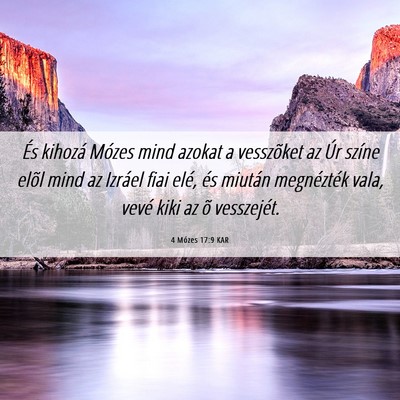 Picture 06 - 4 Mózes 17:9 KAR - És kihozá Mózes mind azokat a vesszõket az - Bible Verse Picture