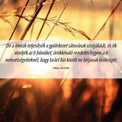 Picture 06 - 4 Mózes 18:23 KAR - De a léviták teljesítsék a gyülekezet - Bible Verse Picture