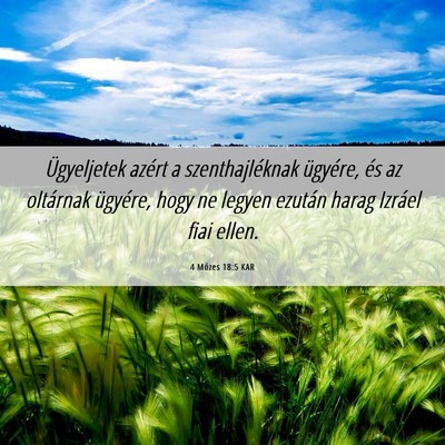 Picture 06 - 4 Mózes 18:5 KAR - Ügyeljetek azért a szenthajléknak ügyére, - Bible Verse Picture