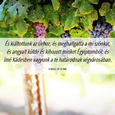 Picture 06 - 4 Mózes 20:16 KAR - És kiáltottunk az Úrhoz, és meghallgatta a mi - Bible Verse Picture