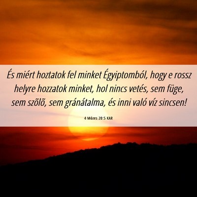 Picture 06 - 4 Mózes 20:5 KAR - És miért hoztatok fel minket Égyiptomból, - Bible Verse Picture