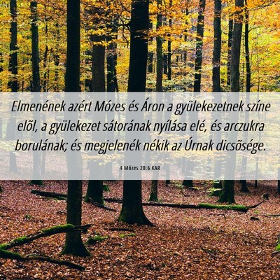 Picture 06 - 4 Mózes 20:6 KAR - Elmenének azért Mózes és Áron a - Bible Verse Picture