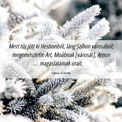 Picture 06 - 4 Mózes 21:28 KAR - Mert tûz jött ki Hesbonból, láng Szíhon - Bible Verse Picture