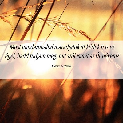 Picture 06 - 4 Mózes 22:19 KAR - Most mindazonáltal maradjatok itt kérlek ti is - Bible Verse Picture
