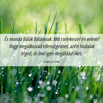 Picture 06 - 4 Mózes 23:11 KAR - És monda Bálák Bálámnak: Mit cselekeszel én - Bible Verse Picture