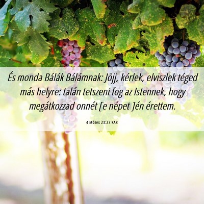 Picture 06 - 4 Mózes 23:27 KAR - És monda Bálák Bálámnak: Jöjj, kérlek, - Bible Verse Picture
