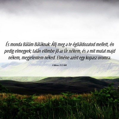 Picture 06 - 4 Mózes 23:3 KAR - És monda Bálám Báláknak: Állj meg a te - Bible Verse Picture
