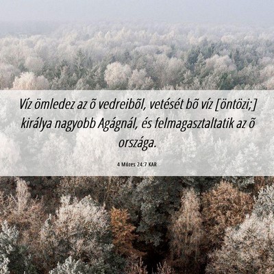 Picture 06 - 4 Mózes 24:7 KAR - Víz ömledez az õ vedreibõl, vetését bõ - Bible Verse Picture