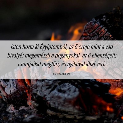 Picture 06 - 4 Mózes 24:8 KAR - Isten hozta ki Égyiptomból, az õ ereje mint a - Bible Verse Picture