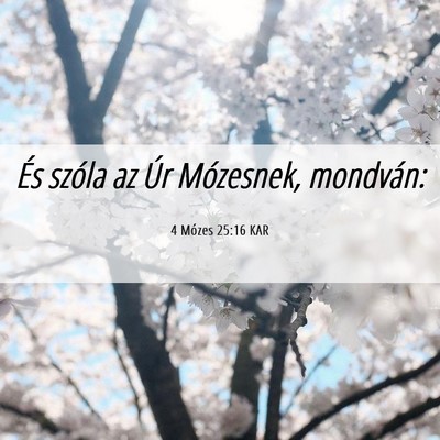 Picture 06 - 4 Mózes 25:16 KAR - És szóla az Úr Mózesnek, - Bible Verse Picture